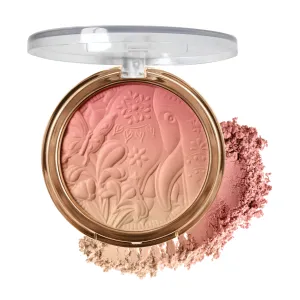 SOFT GRADIENT BLUSH